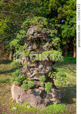 Jeju Island Art Land Fountain Park 135081472
