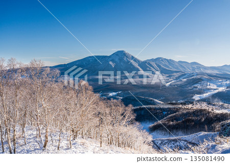 隆冬時節，從霧峰高原遠足徑望去，立科岳和霜花在晨曦中閃閃發光。 135081490