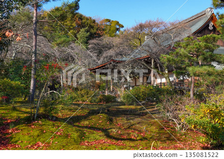 Tenryuji Temple (Winter morning) Tahoden Hall 135081522
