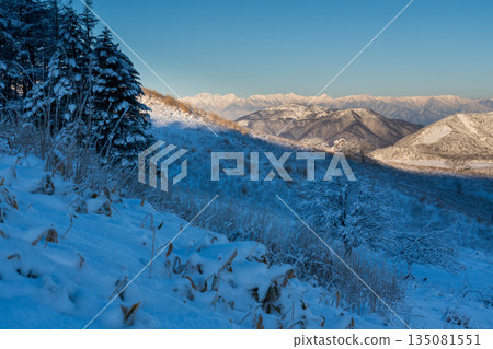從霧峰高原的雪景步道上眺望北阿爾卑斯山的雪景 135081551