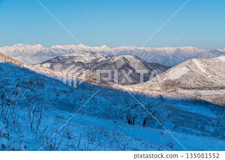 Snowy scenery of the Northern Alps from the snowy promenade of Kirigamine Plateau 135081552