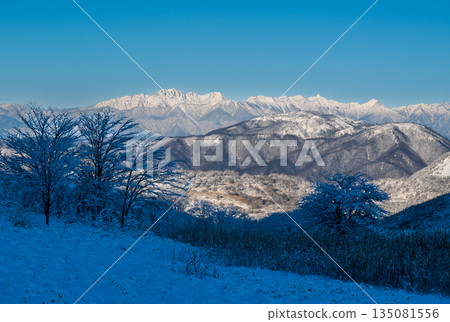 從霧峰高原的雪景步道上眺望北阿爾卑斯山的雪景 135081556