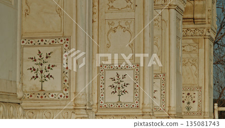 Red Fort decorative marble inlay panels with floral botanical motifs and geometric patterns 135081743