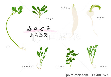 Spring seven herbs illustration set Spring seven herbs illustration set 135081874