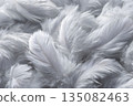 White, soft feathers 135082463