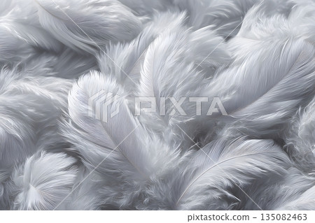 White, soft feathers 135082463