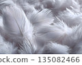 White, soft feathers 135082466