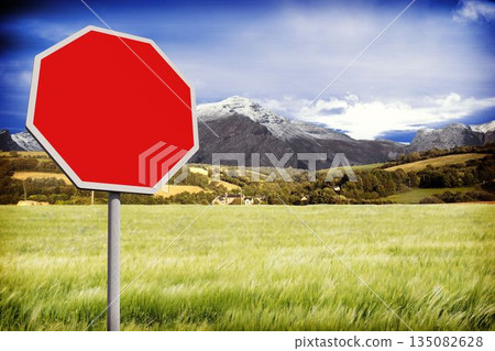 Flat design showing blank red octagonal sign on metal pole in meadow with houses and hills Flat design showing blank red octagonal sign on metal pole in meadow with houses and hills 135082628