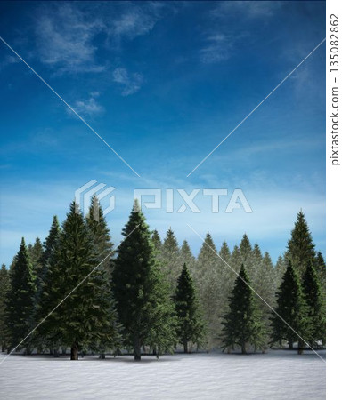 Fir tree forest in snowy landscape 135082862