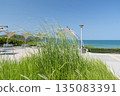 Sunny beach with sand dunes and blue sky in Bulgaria 135083391