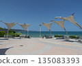 Sunny beach with sand dunes and blue sky in Bulgaria 135083393
