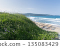 Sunny beach with sand dunes and blue sky in Bulgaria 135083429