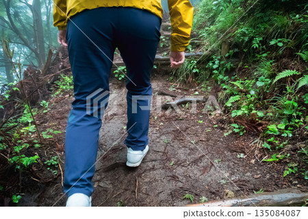 登山 爬山 遠足 135084087