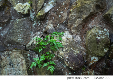 stone wall, stonewall, rock 135084090