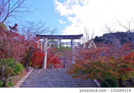太宰府市灶門神社參道沿途的紅葉 135084114