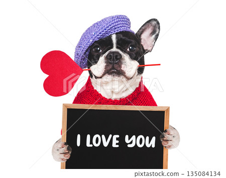 I love you. Cute puppy and a love message I love you. Cute puppy and a love message 135084134
