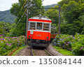 箱根登山電車 繡球花電車 135084144