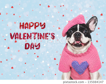 Happy Valentine's Day. Cute puppy and congratulatory inscription Happy Valentine's Day. Cute puppy and congratulatory inscription 135084147