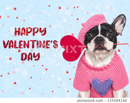 Happy Valentine's Day. Cute puppy and congratulatory inscription Happy Valentine's Day. Cute puppy and congratulatory inscription 135084148