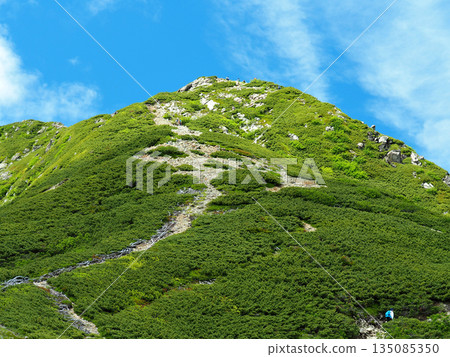 【山景】南阿爾卑斯山,千丈山 【山景】南阿爾卑斯山,千丈山 135085350