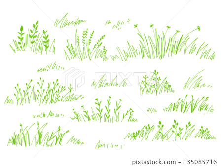 Seamless spring grass background illustration material Seamless spring grass background illustration material 135085716
