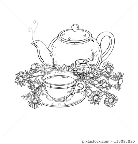 Chamomile Tea in Teapot Outline Illustration. Chamomile Tea in Teapot Outline Illustration. 135085850