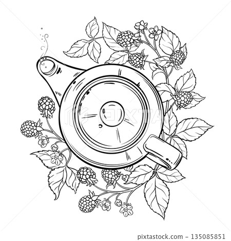 Blackberry Tea in Teapot Outline Illustration. 135085851