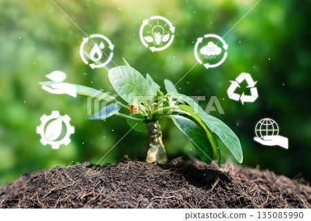 Young Plant Growing in Soil with Digital ESG and Sustainability Icons 135085990