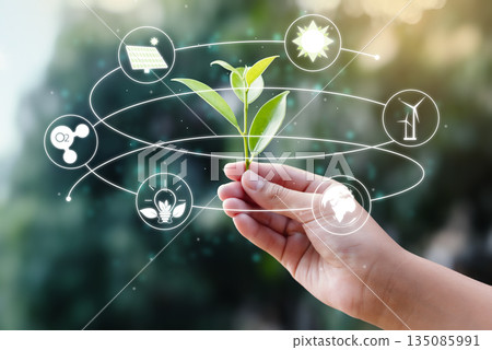 Hand Holding Small Sprout with Renewable Energy Icons for Sustainability Concept Hand Holding Small Sprout with Renewable Energy Icons for Sustainability Concept 135085991