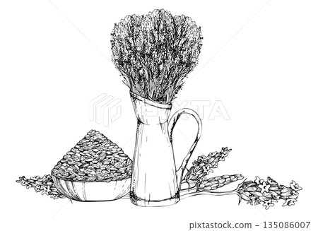 Enamel jug of Fresh cut lavender, clay bowl of dry seeds, single lavandula flower stalks. Isolated illustration hand drawn in vector ink. Invitations, textile design, digital kits, love theme tags Enamel jug of Fresh cut lavender, clay bowl of dry seeds, single lavandula flower stalks. Isolated illustration hand drawn in vector ink. Invitations, textile design, digital kits, love theme tags 135086007