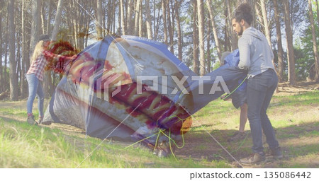 Unfolding gray tent, three friends pitching poles and guy lines in sunlit pine forest clearing Unfolding gray tent, three friends pitching poles and guy lines in sunlit pine forest clearing 135086442
