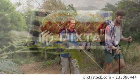 Walking adult hikers in hiking clothes navigating forest trail, with trekking poles and backpacks Walking adult hikers in hiking clothes navigating forest trail, with trekking poles and backpacks 135086444