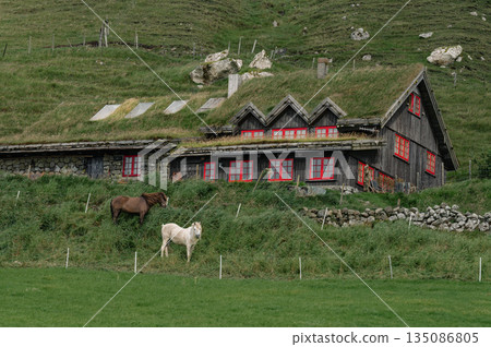 Charming Faroese Village Scene with Grass-Roof Cottages in Kirkjubour, Faroe Islands. High quality photo Charming Faroese Village Scene with Grass-Roof Cottages in Kirkjubour, Faroe Islands. High quality photo 135086805