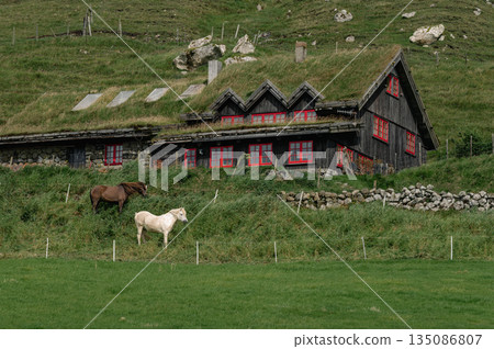 Charming Faroese Village Scene with Grass-Roof Cottages in Kirkjubour, Faroe Islands. High quality photo Charming Faroese Village Scene with Grass-Roof Cottages in Kirkjubour, Faroe Islands. High quality photo 135086807