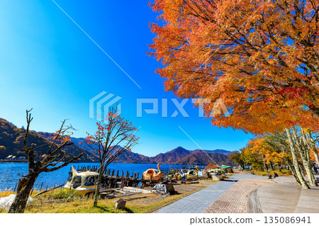 Lake Chuzenji in autumn, Nikko City, Tochigi Prefecture (Maple leaves along the lakeside) 135086941