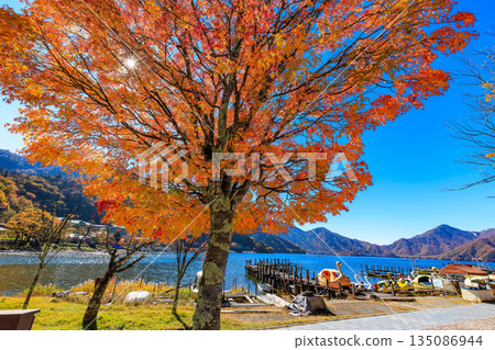 Lake Chuzenji in autumn, Nikko City, Tochigi Prefecture (Maple leaves along the lakeside) 135086944