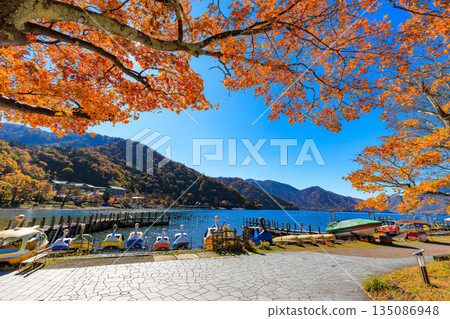 Lake Chuzenji in autumn, Nikko City, Tochigi Prefecture (Maple leaves along the lakeside) Lake Chuzenji in autumn, Nikko City, Tochigi Prefecture (Maple leaves along the lakeside) 135086948