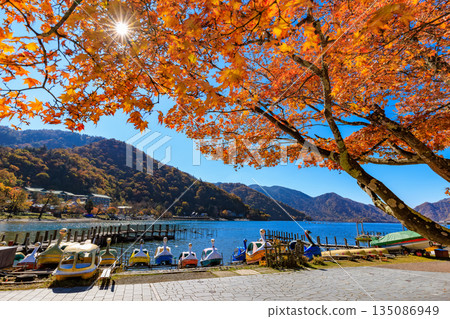 Lake Chuzenji in autumn, Nikko City, Tochigi Prefecture (Maple leaves along the lakeside) Lake Chuzenji in autumn, Nikko City, Tochigi Prefecture (Maple leaves along the lakeside) 135086949