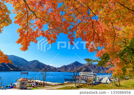 秋季的栃木縣日光市中禪寺湖（湖邊楓葉） 135086956