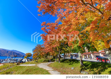 秋季的栃木縣日光市中禪寺湖（湖邊楓葉） 135086959