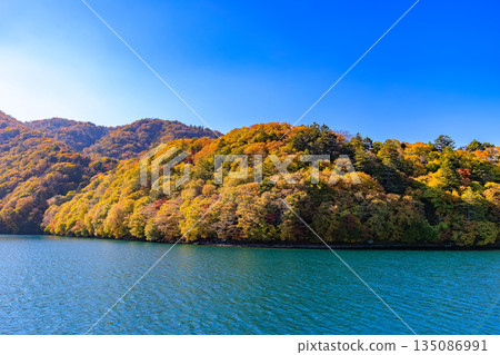 Lake Chuzenji in autumn, Nikko City, Tochigi Prefecture (Autumn foliage along the lakeside seen from a sightseeing boat) Lake Chuzenji in autumn, Nikko City, Tochigi Prefecture (Autumn foliage along the lakeside seen from a sightseeing boat) 135086991