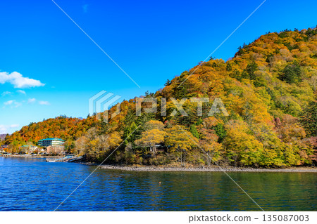 Lake Chuzenji in autumn, Nikko City, Tochigi Prefecture (Autumn foliage along the lakeside seen from a sightseeing boat) 135087003