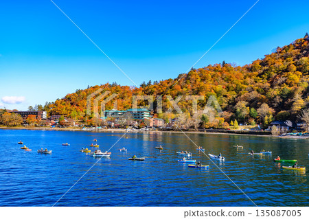 Lake Chuzenji in autumn, Nikko City, Tochigi Prefecture (Autumn foliage along the lakeside seen from a sightseeing boat) 135087005