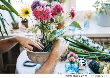 Hands arrange pink and purple aster flowers into stone urn using floral wire mesh. Flower therapy, horticultural therapy, creative wellness, botanical art. Hands arrange pink and purple aster flowers into stone urn using floral wire mesh. Flower therapy, horticultural therapy, creative wellness, botanical art. 135087213