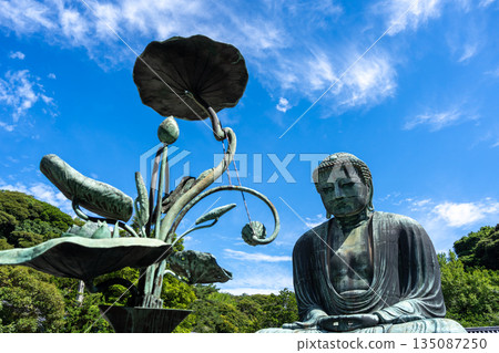 Great Buddha Daibutsu and lotus sculpture at Kotoku-in temple, Kamakura Great Buddha Daibutsu and lotus sculpture at Kotoku-in temple, Kamakura 135087250