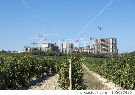 New residential district under construction in Novorossiysk, Russia, with unfinished monolithic apartment buildings, tower cranes and vineyards in the foreground 135087450