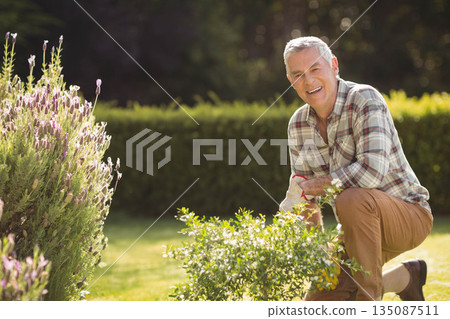 Senior man kneeling on lawn in garden trimming shrub with gardening gloves and shears, copy space Senior man kneeling on lawn in garden trimming shrub with gardening gloves and shears, copy space 135087511