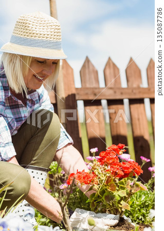 Senior woman kneeling in backyard planting red blooming plants wearing straw hat polka-dot boots 135087786