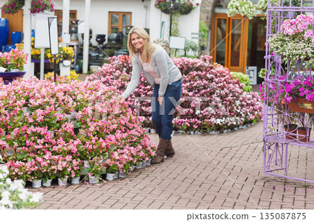 Leaning forward and touching potted pink flowers at outdoor garden center on brick patio 135087875
