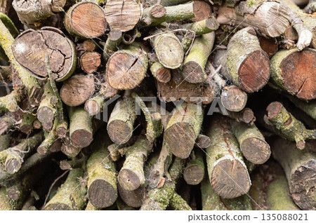 A pile of cut tree logs - background . High quality photo 135088021